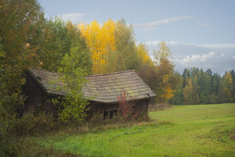 Roofing in Autumn